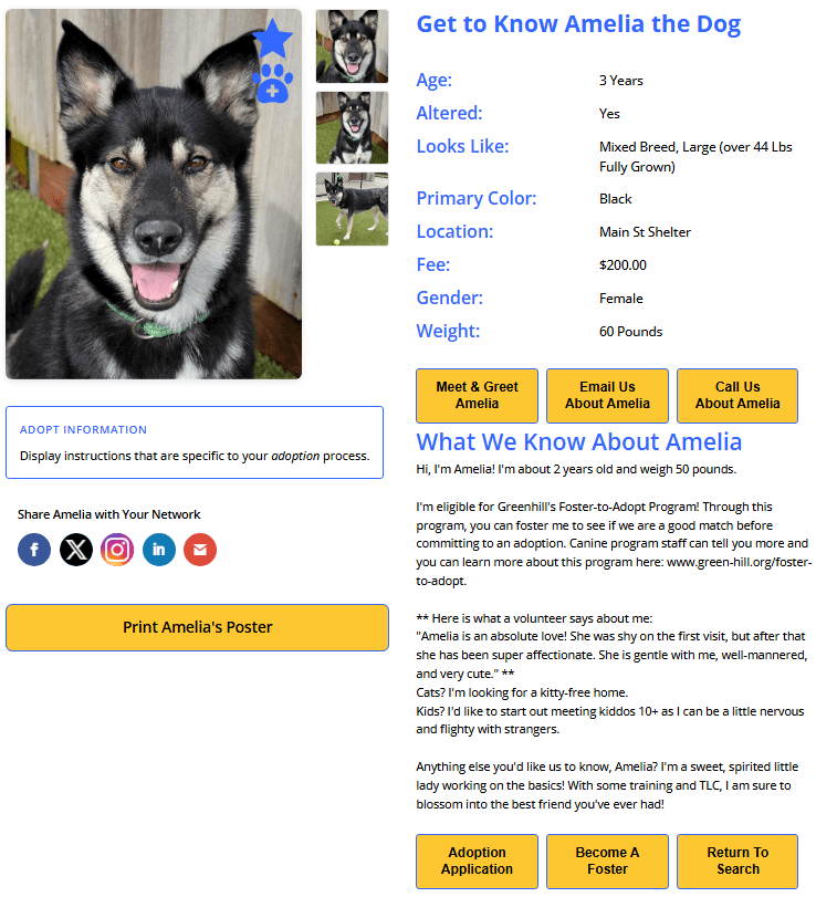 Live animal detail page showing a full pet profile with photo, breed, age, and description