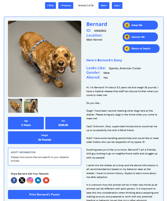 Pet Match Pro adoption detail page for Bernard, a Cocker Spaniel, styled with a custom blue color palette including pagination navigation, photo gallery, stat tiles, share buttons, and adoption story