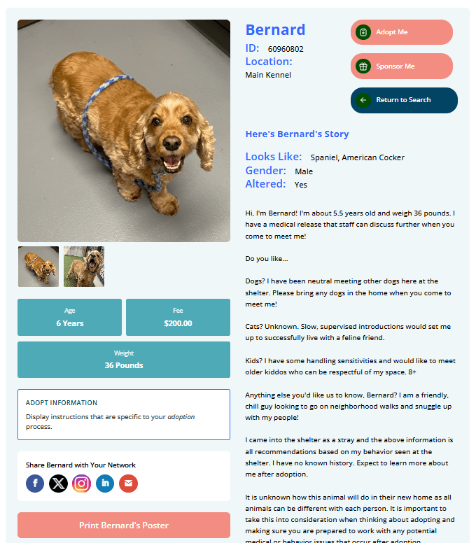 Pet Match Pro adoption detail page for Bernard, a Cocker Spaniel, using the default teal and coral color scheme showing photo gallery, stat tiles, share buttons, and adoption story