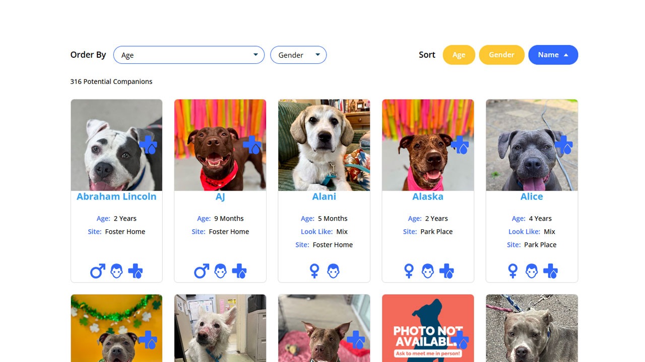 PetMatchPro adoptable search results grid