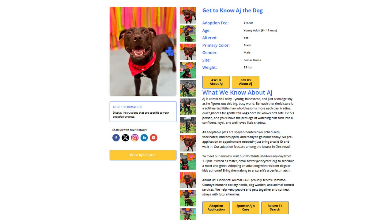 PetMatchPro animal detail page