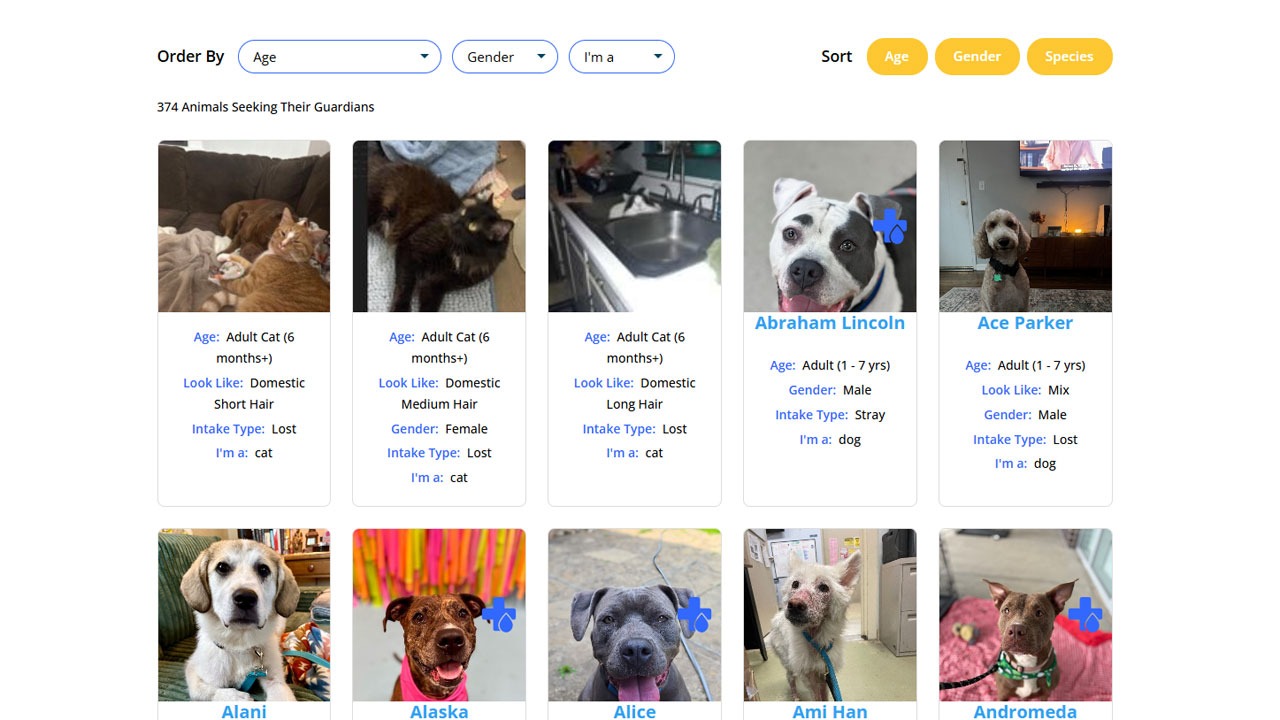 PetMatchPro lost and found search results