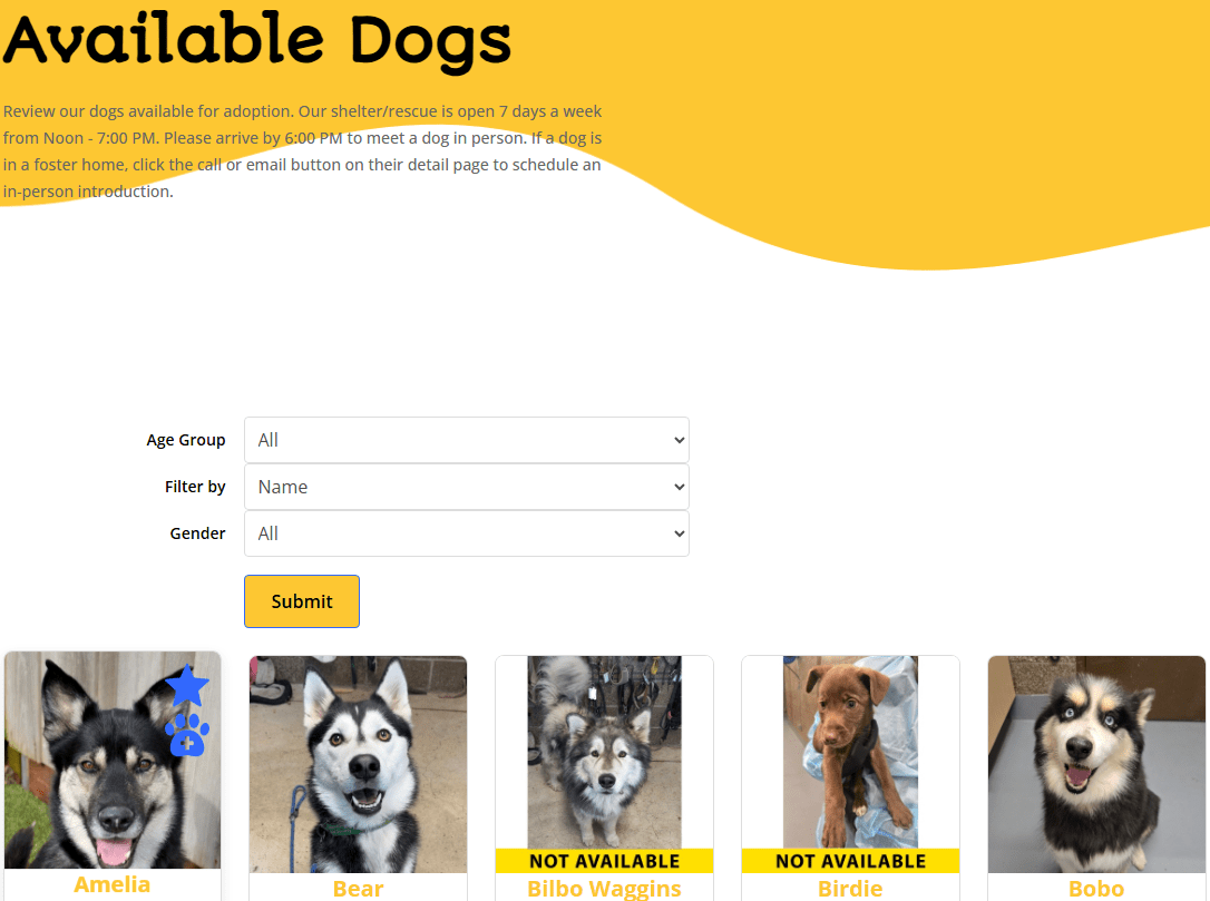 PetMatchPro search results page with filter dropdowns for species, breed, and other criteria