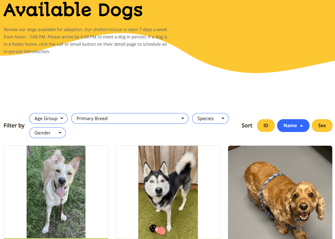 Pet Match Pro available dogs search page showing Filter by dropdowns for Age Group, Primary Breed, Species, and Gender alongside Sort buttons for ID, Name, and Sex above a grid of adoptable dog photos