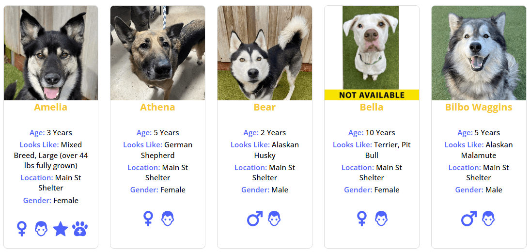 PetMatchPro adopt search results displaying five dog cards in a row - Amelia, Athena, Bear, Bella, and Bilbo Waggins - each showing a photo, name, age, breed, location, and gender, with pet icons below for sex and altered status. Amelia also displays a star and house-trained icon. Bella's photo has a gold "Not Available" overlay banner.