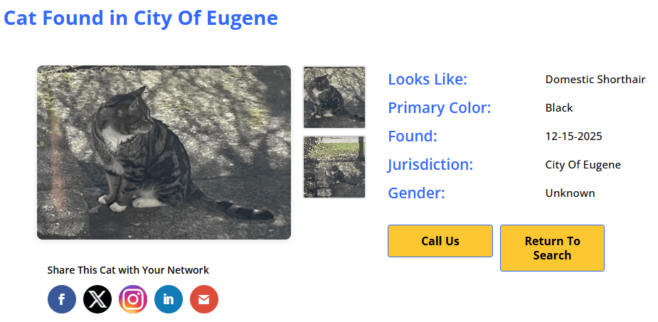 Found detail page showing auto-generated title: Cat Found in City Of Eugene