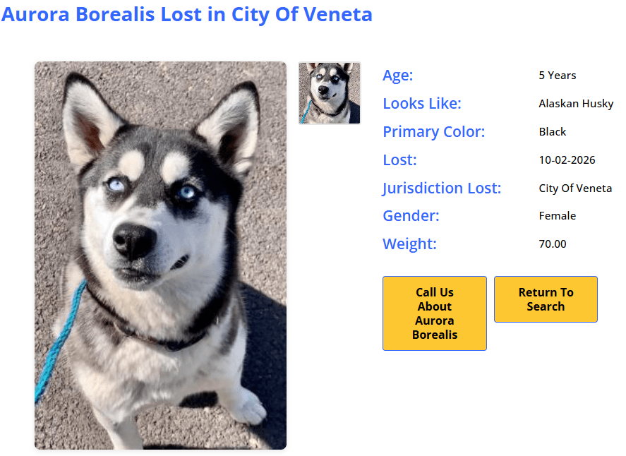 Lost detail page showing auto-generated title: Aurora Borealis Lost in City of Veneta
